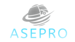aseprobajio.com